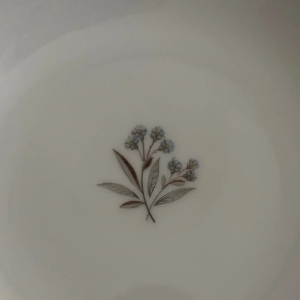 Noritake Bessie 5788 white with blue flowers coupe soup
